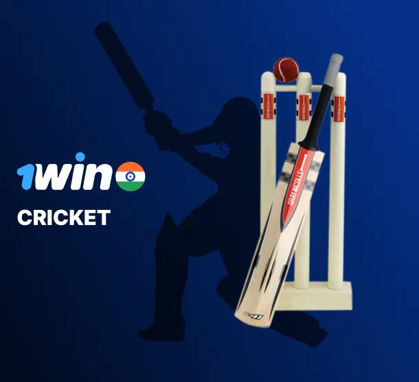 Cricket betting at 1Win